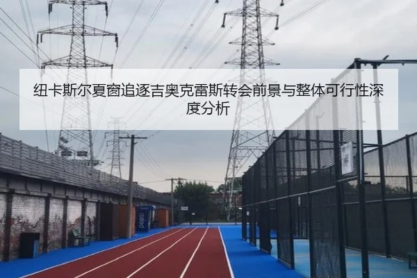 纽卡斯尔夏窗追逐吉奥克雷斯转会前景与整体可行性深度分析