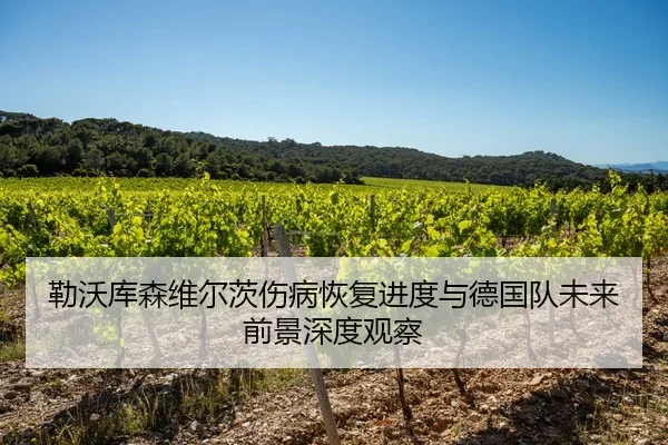 勒沃库森维尔茨伤病恢复进度与德国队未来前景深度观察